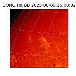 gong - 2025-08-09T16:00:02