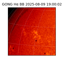gong - 2025-08-09T19:00:02
