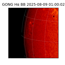 gong - 2025-08-09T01:00:02
