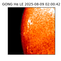 gong - 2025-08-09T02:00:42