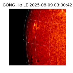 gong - 2025-08-09T03:00:42