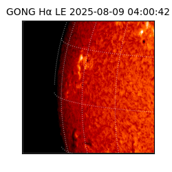 gong - 2025-08-09T04:00:42