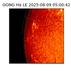 gong - 2025-08-09T05:00:42