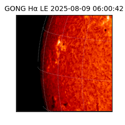 gong - 2025-08-09T06:00:42