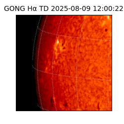 gong - 2025-08-09T12:00:22