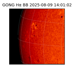 gong - 2025-08-09T14:01:02