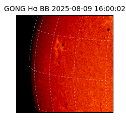 gong - 2025-08-09T16:00:02