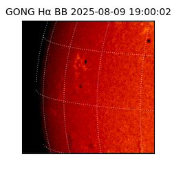 gong - 2025-08-09T19:00:02