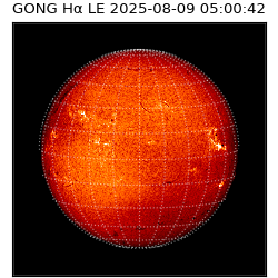 gong - 2025-08-09T05:00:42