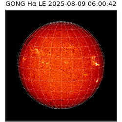 gong - 2025-08-09T06:00:42