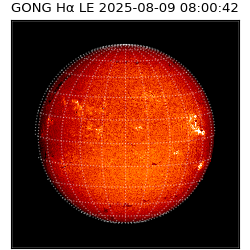 gong - 2025-08-09T08:00:42