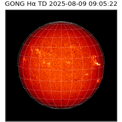 gong - 2025-08-09T09:05:22