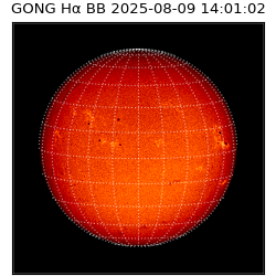 gong - 2025-08-09T14:01:02