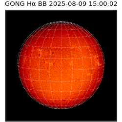 gong - 2025-08-09T15:00:02