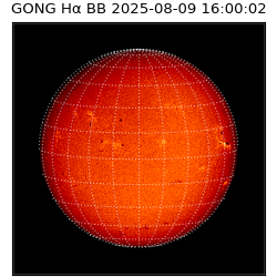 gong - 2025-08-09T16:00:02
