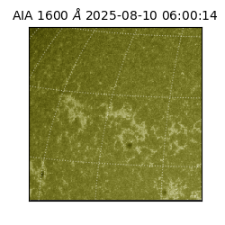 saia - 2025-08-10T06:00:14.126000