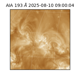 saia - 2025-08-10T09:00:04.843000