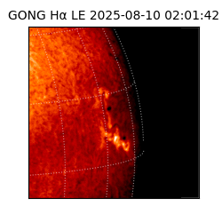 gong - 2025-08-10T02:01:42
