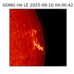 gong - 2025-08-10T04:00:42
