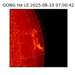 gong - 2025-08-10T07:00:42