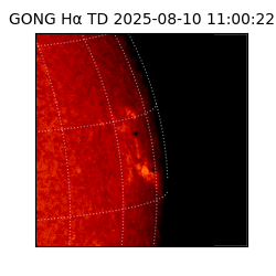 gong - 2025-08-10T11:00:22