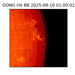gong - 2025-08-10T01:00:02