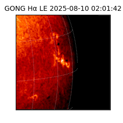 gong - 2025-08-10T02:01:42