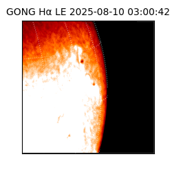gong - 2025-08-10T03:00:42