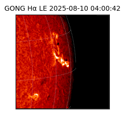 gong - 2025-08-10T04:00:42