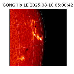 gong - 2025-08-10T05:00:42