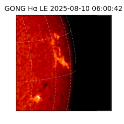 gong - 2025-08-10T06:00:42