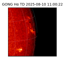 gong - 2025-08-10T11:00:22