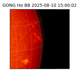 gong - 2025-08-10T15:00:02