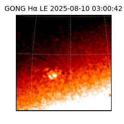 gong - 2025-08-10T03:00:42