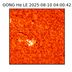 gong - 2025-08-10T04:00:42