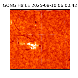 gong - 2025-08-10T06:00:42