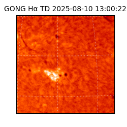 gong - 2025-08-10T13:00:22