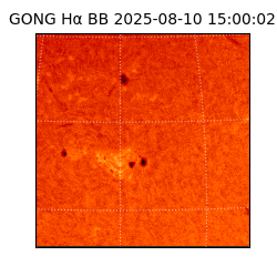 gong - 2025-08-10T15:00:02