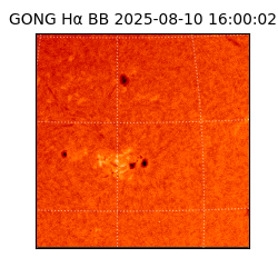 gong - 2025-08-10T16:00:02