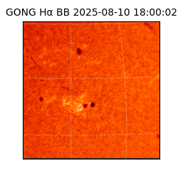 gong - 2025-08-10T18:00:02