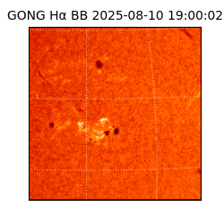 gong - 2025-08-10T19:00:02