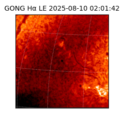 gong - 2025-08-10T02:01:42