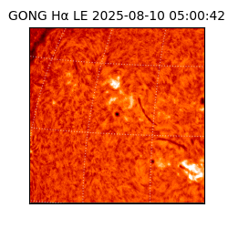 gong - 2025-08-10T05:00:42