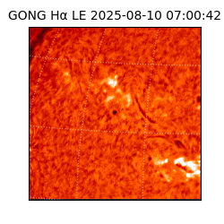 gong - 2025-08-10T07:00:42