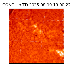 gong - 2025-08-10T13:00:22