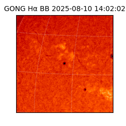gong - 2025-08-10T14:02:02