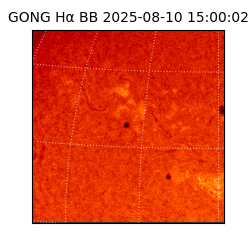 gong - 2025-08-10T15:00:02