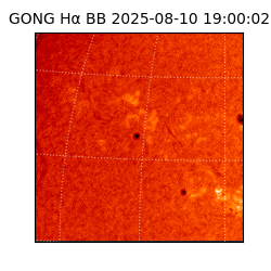 gong - 2025-08-10T19:00:02