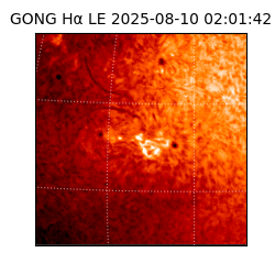 gong - 2025-08-10T02:01:42