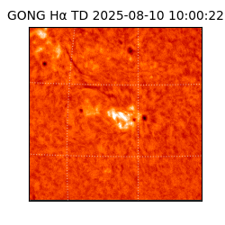 gong - 2025-08-10T10:00:22